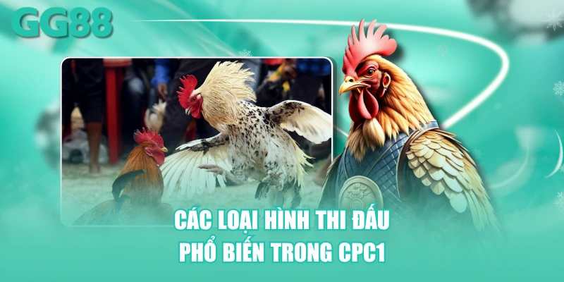 Các loại hình thi đấu phổ biến trong CPC1